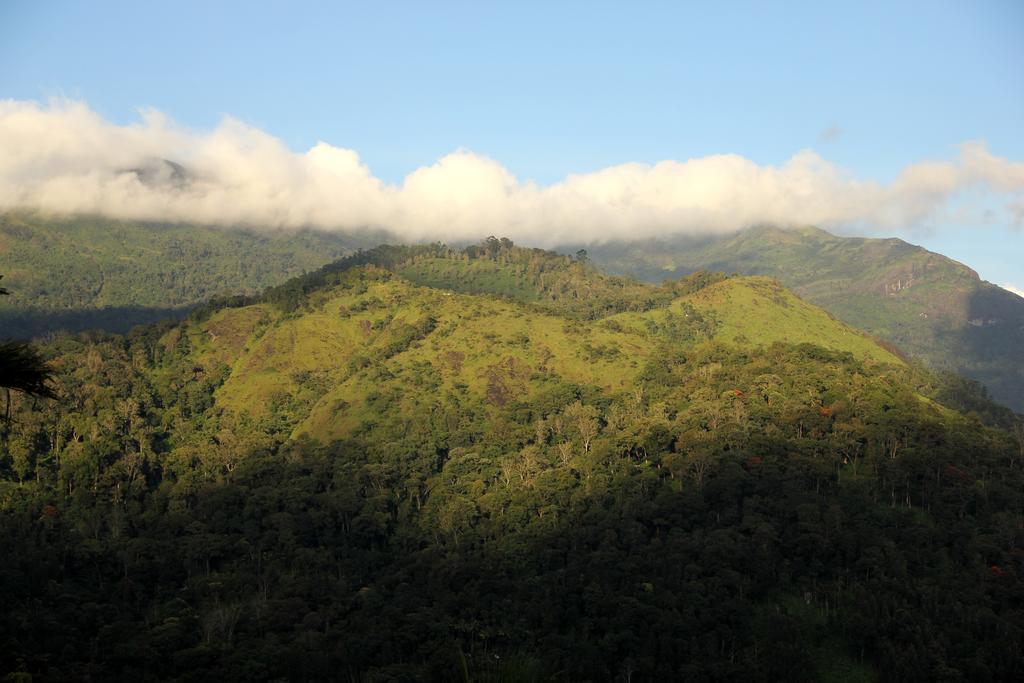 Ecotones Munnar By Eden Environs Hotel Exterior photo