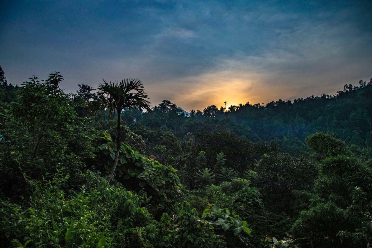 Ecotones Munnar By Eden Environs Hotel Exterior photo